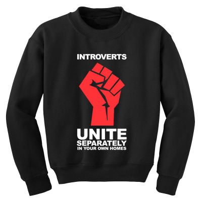 Dont Introverts Youth Sweatshirt Designed By Warning