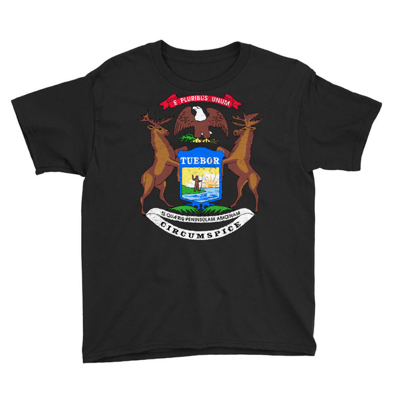 Michigan Flag Coat Of Arms The Wolverine State Lake Pullover Hoodie Youth Tee | Artistshot