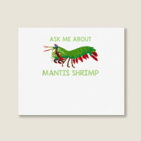 Crustacean Quote Ask Me About Mantis Shrimp T Shirt Landscape Canvas Print | Artistshot