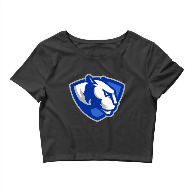 Eastern Illinois Panthers Crop Top by tinika | Artistshot