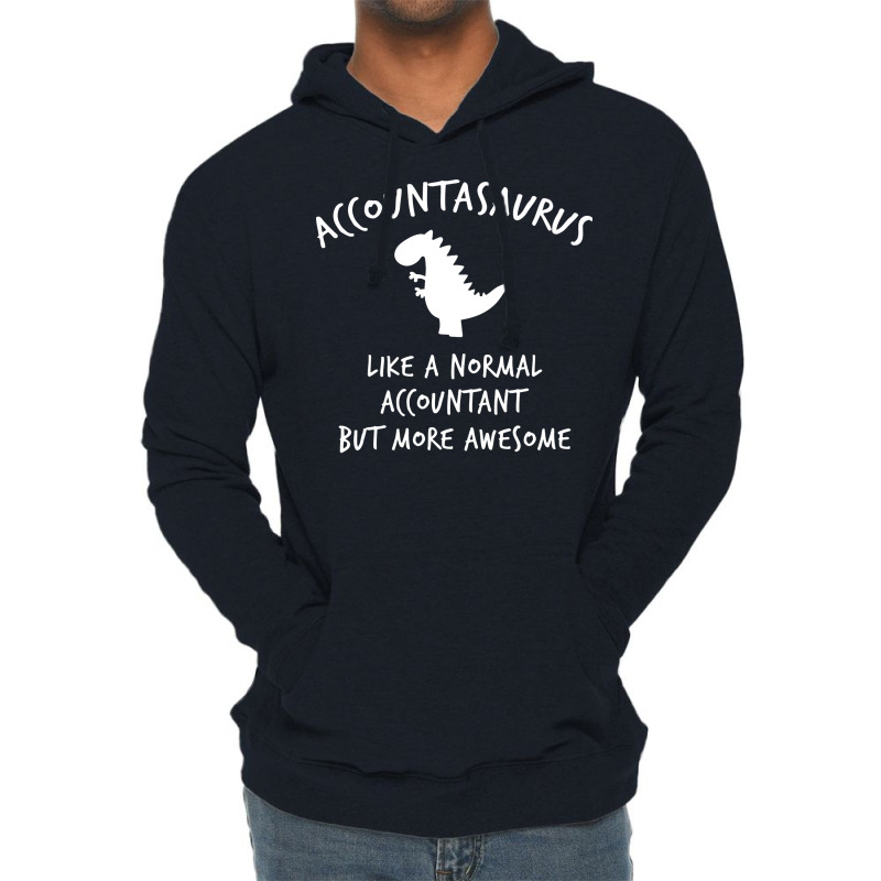 Dino Accountant Accounting Travel Lightweight Hoodie | Artistshot