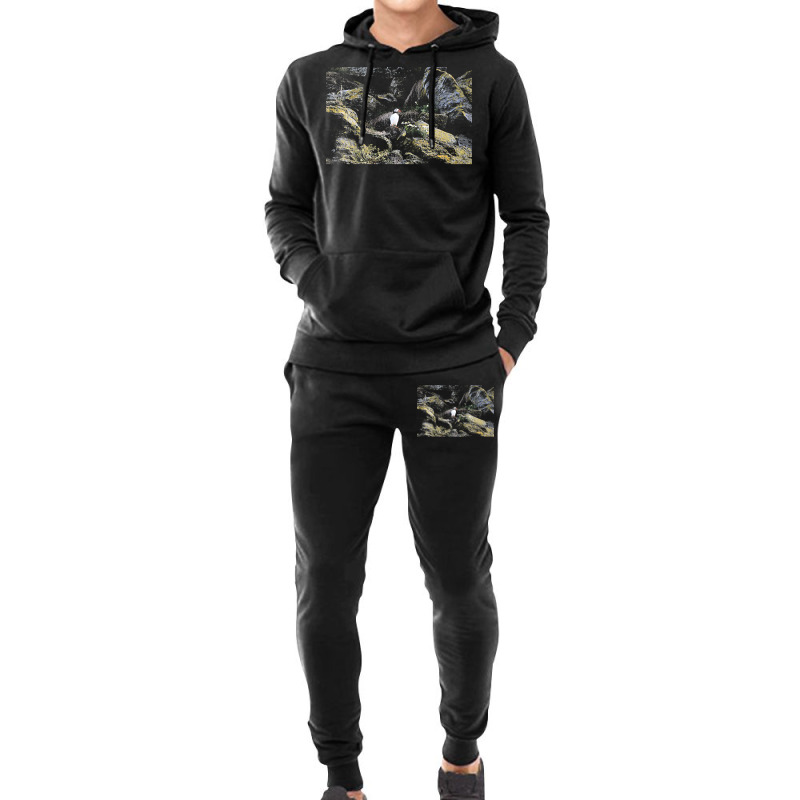 Puffin T  Shirt Puffin T  Shirt Hoodie & Jogger Set | Artistshot