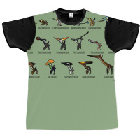 Meet The Pterosaurs Graphic T-shirt | Artistshot