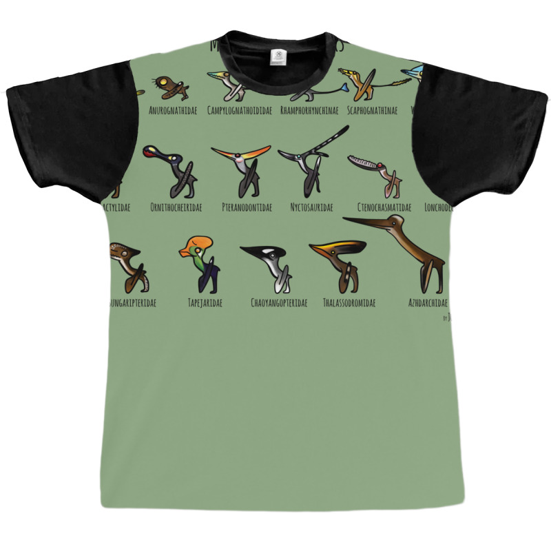 Meet The Pterosaurs Graphic T-shirt | Artistshot