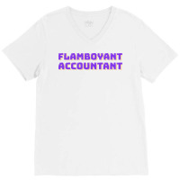 Flamboyant Accountant Nostalgia V-neck Tee | Artistshot