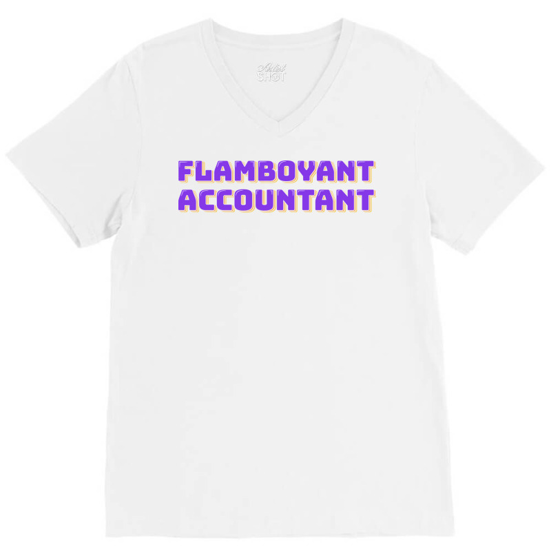 Flamboyant Accountant Nostalgia V-neck Tee | Artistshot