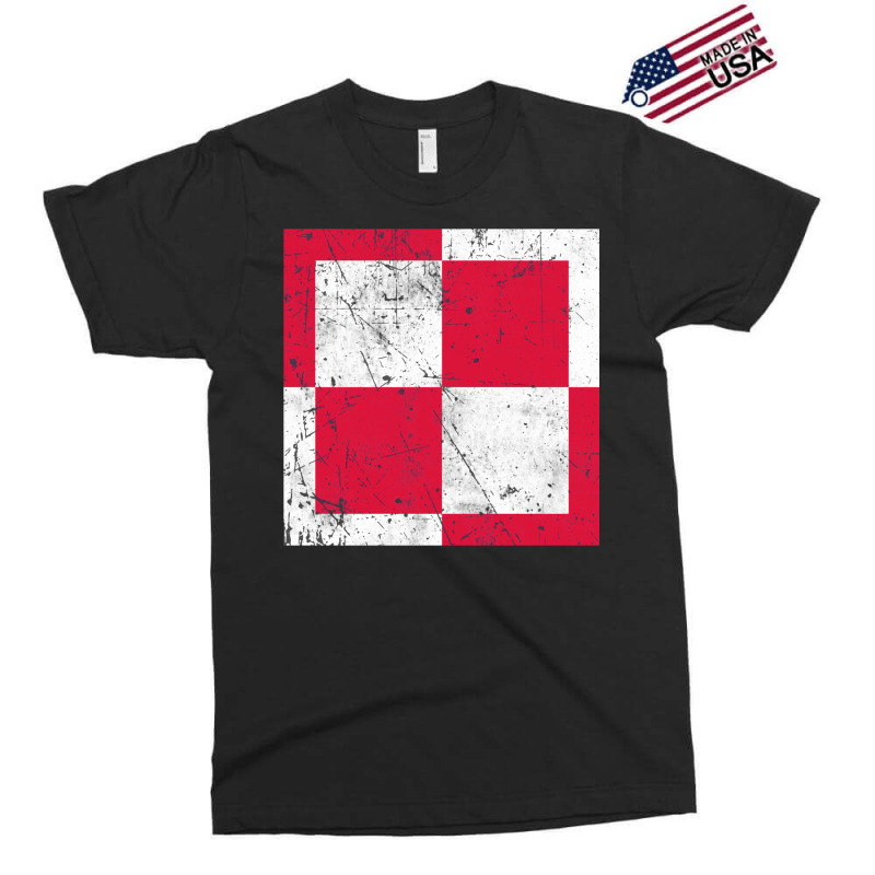 Poland Flag Air Force Roundel Exclusive T-shirt by kassirromkes5 | Artistshot