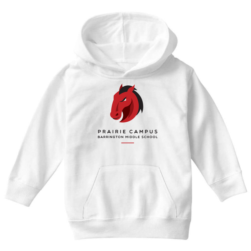 College Barrington High School (rhode Island) Youth Hoodie by TwilaSky | Artistshot