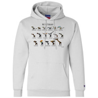 Meet The Pterosaurs Champion Hoodie | Artistshot