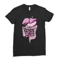 Detailed Digestive System Green Ladies Fitted T-shirt | Artistshot