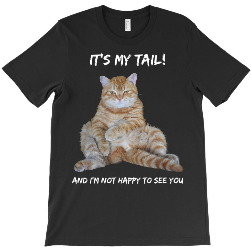 It's My Tail! Tabby Cat Dirty Adult Innuendo Humor T-shirt | Artistshot