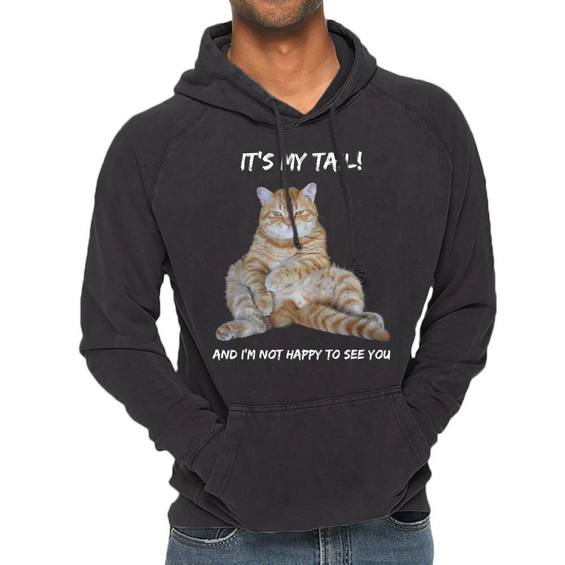 It's My Tail! Tabby Cat Dirty Adult Innuendo Humor Vintage Hoodie | Artistshot