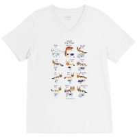 Vulpes True Foxes V-neck Tee | Artistshot