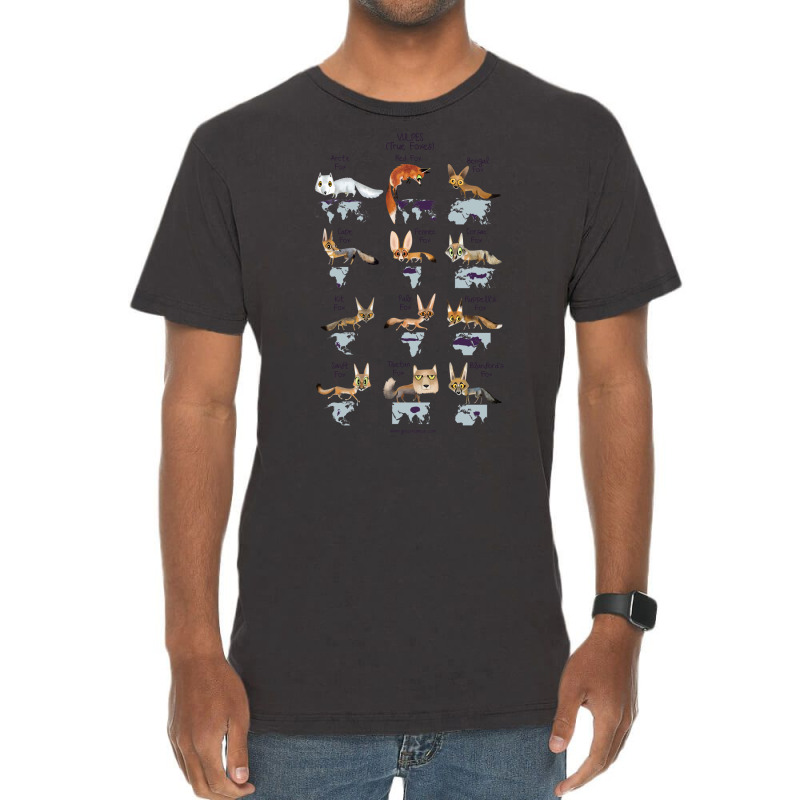 Vulpes True Foxes Vintage T-Shirt by bazazkwstas | Artistshot