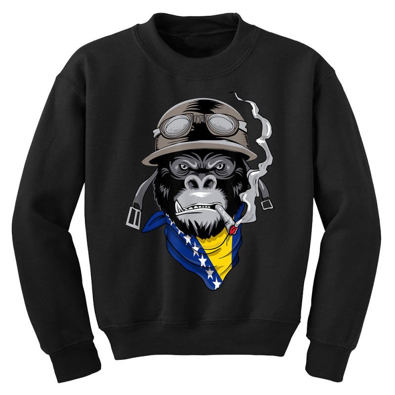 Bosnian And Herzegovinian Flag Biker Bosnia Herzegovina Youth Sweatshirt by VictorMRodriguez | Artistshot