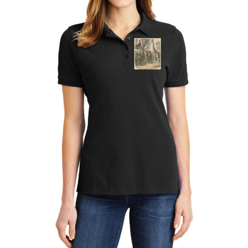 Vintage Art Of Ancient Animals Giraffe Brown Camels Retro Encyclopedia Ladies Polo Shirt by apolitery | Artistshot