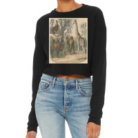 Vintage Art Of Ancient Animals Giraffe Brown Camels Retro Encyclopedia Cropped Sweater | Artistshot