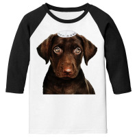 Jewish Chocolate Lab  Dog Chanukah Gift Funny Hanukkah Youth 3/4 Sleeve | Artistshot