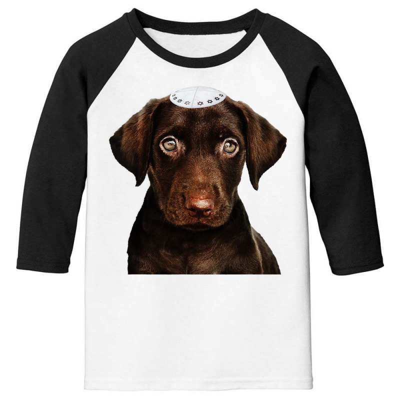 Jewish Chocolate Lab  Dog Chanukah Gift Funny Hanukkah Youth 3/4 Sleeve | Artistshot