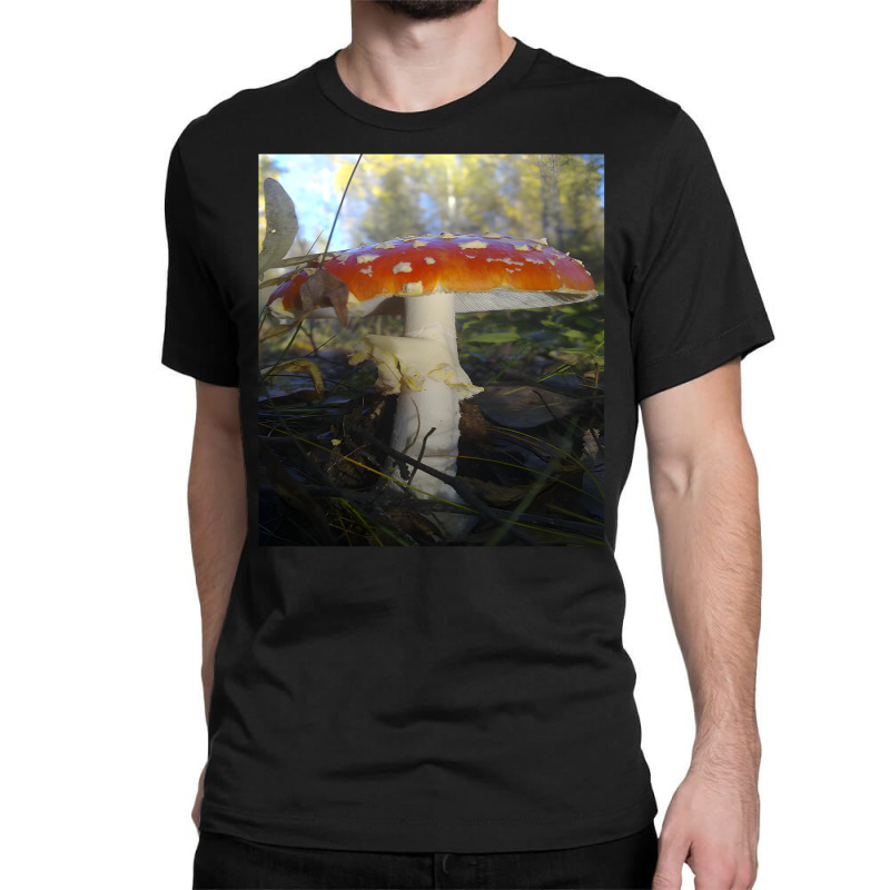 Artistshot Trending Amanita Muscaria Amanita Amanita Mushroom Magic Mu Classic T-shirt by brumfieldportillo7vlpq8 | Artistshot