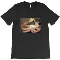 Sad Cat Sandwich T-shirt | Artistshot