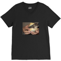 Sad Cat Sandwich V-neck Tee | Artistshot