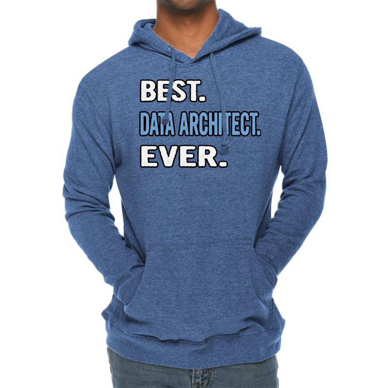 Best Data Architect Ever Birthday Gift Idea Lightweight Hoodie | Artistshot