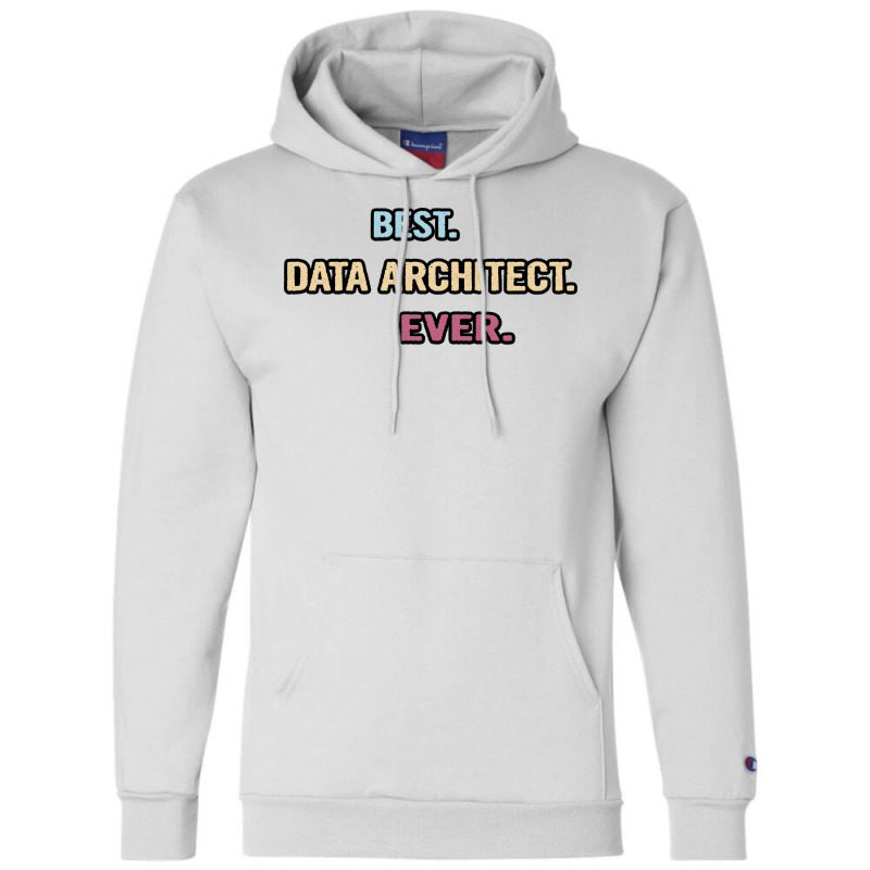 Best Data Architect Ever Nice Gift Idea Champion Hoodie | Artistshot