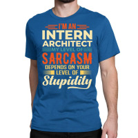 Im An Intern Architect Cute Classic T-shirt | Artistshot