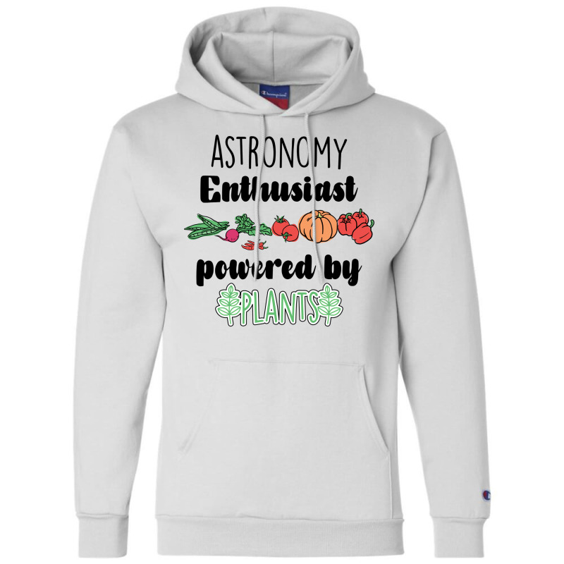 Astronomy Love Champion Hoodie | Artistshot