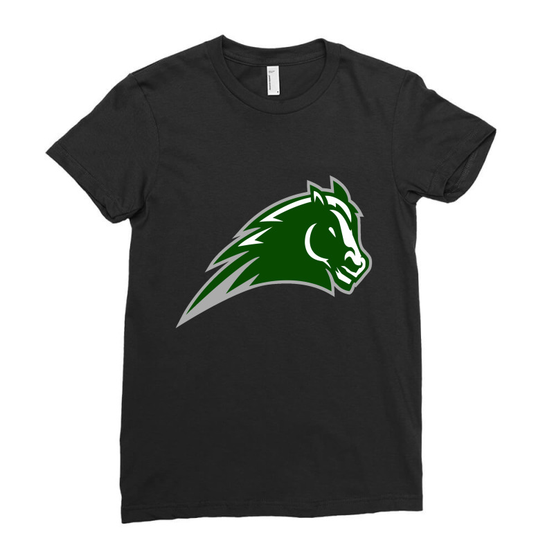 Blackfoot High School Ladies Fitted T-Shirt by almeroalvin | Artistshot