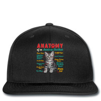 Anatomy Of An American Shorthair Clever Soulful Happy Tails T Shirt Printed Hat | Artistshot