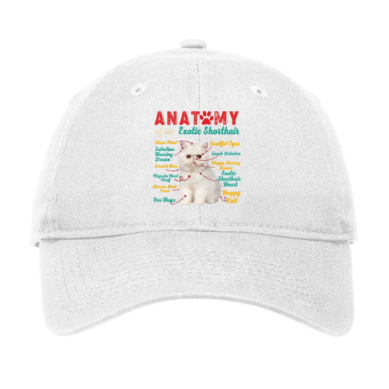 Anatomy Of An Exotic Shorthair Clever Soulful Happy Tails T Shirt Adjustable Cap by thunmzien | Artistshot