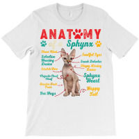 Vintage Anatomy Of A Sphynx Clever Soulful Happy Tails T Shirt T-shirt | Artistshot