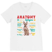 Vintage Anatomy Of A Sphynx Clever Soulful Happy Tails T Shirt V-neck Tee | Artistshot