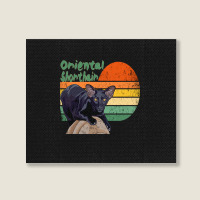 Oriental Shorthair Cat Landscape Canvas Print | Artistshot