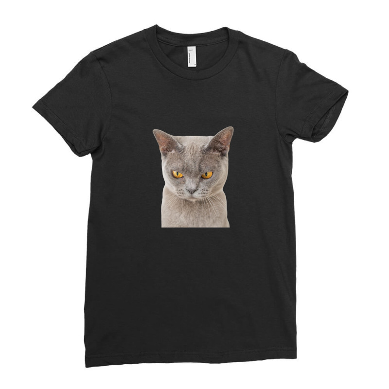 Angry Cat Meme 1 Ladies Fitted T-Shirt by JamesLong | Artistshot