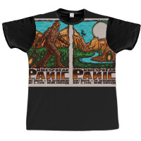 Reasons Why Peoplesecretly Love Widespread Panic 1 Graphic T-shirt | Artistshot