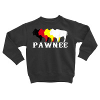 Pawnee Tribe Nation Native Indian Medicine Wheel T Shirt Toddler Sweatshirt | Artistshot