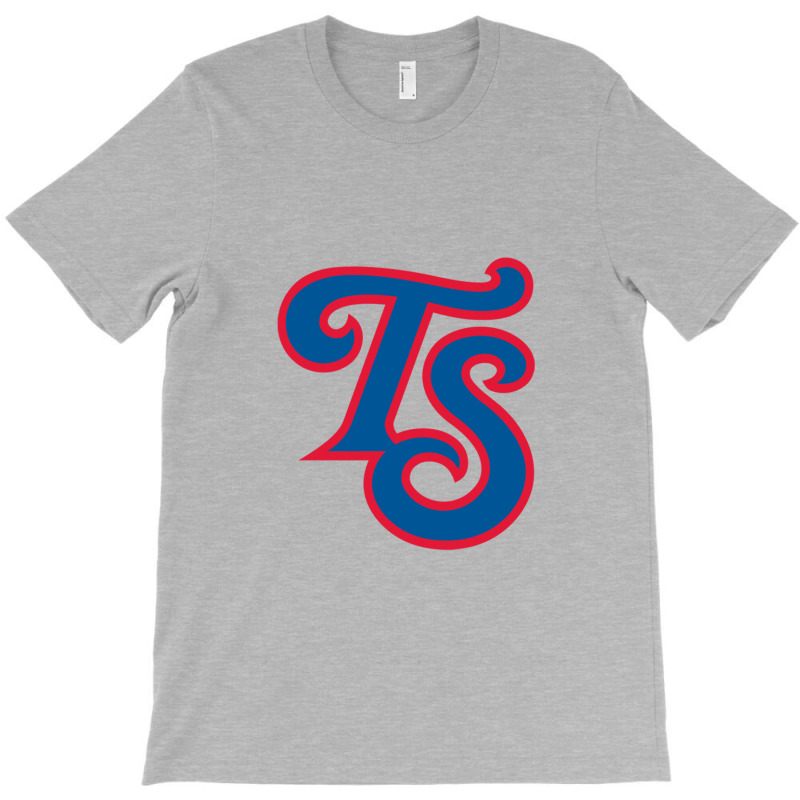 Baseball Tennessee Smokies Team T-shirt | Artistshot