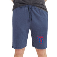 Baseball Tennessee Smokies Team Vintage Short | Artistshot