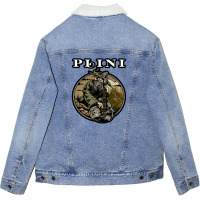 Soul Calming Musical Instrument Unisex Sherpa-lined Denim Jacket | Artistshot