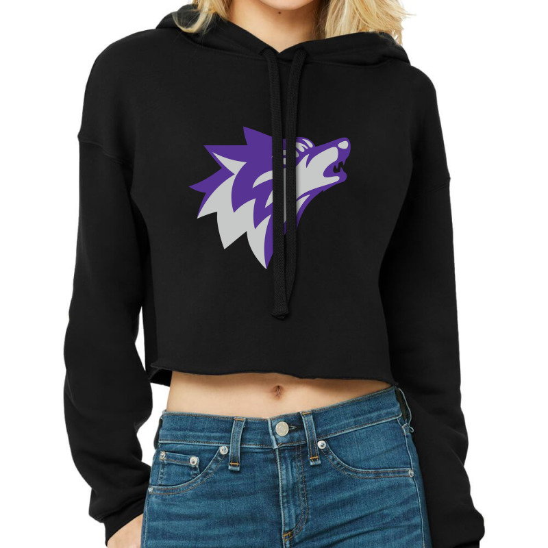 Boston Latin School Cropped Hoodie by QinthiaRaissa | Artistshot