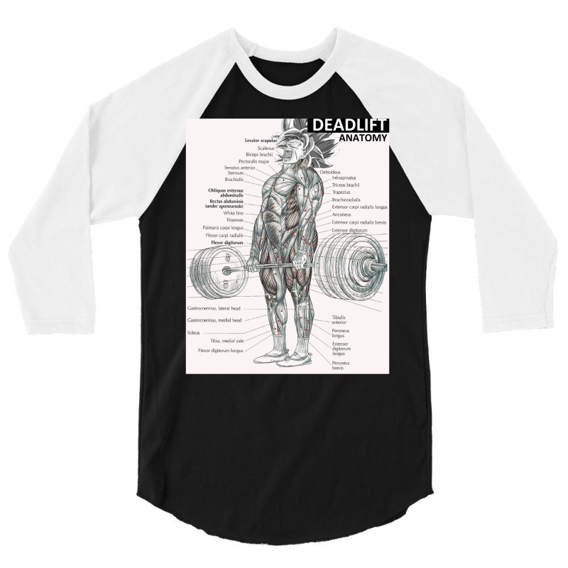 Deadlift Muscle Chart   Anatomy Diagram   Anime Gym Motivational 3/4 Sleeve Shirt | Artistshot