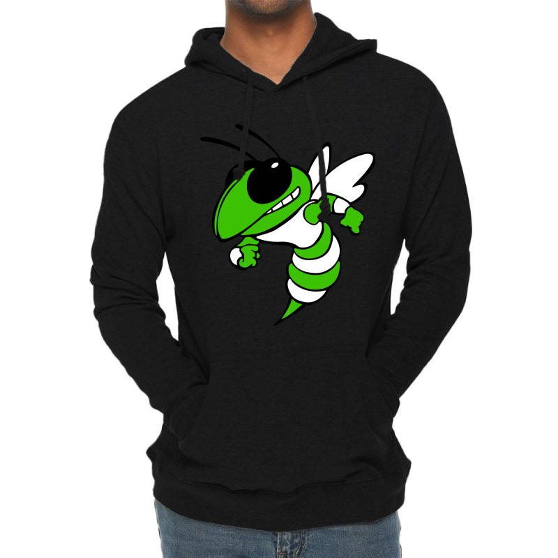 Juniata Valley School District Lightweight Hoodie by QinthiaRaissa | Artistshot