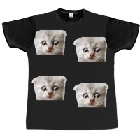 Funny Cat Lawyer Meme Value Pack 4 Graphic T-shirt | Artistshot