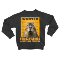 Capybara Mugshot Wanted For 93 Felonies Across The Country T Shirt Toddler Sweatshirt | Artistshot