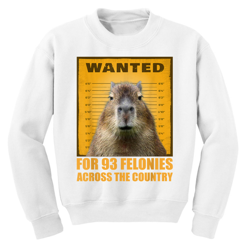 Capybara Mugshot Wanted For 93 Felonies Across The Country T Shirt Youth Sweatshirt | Artistshot