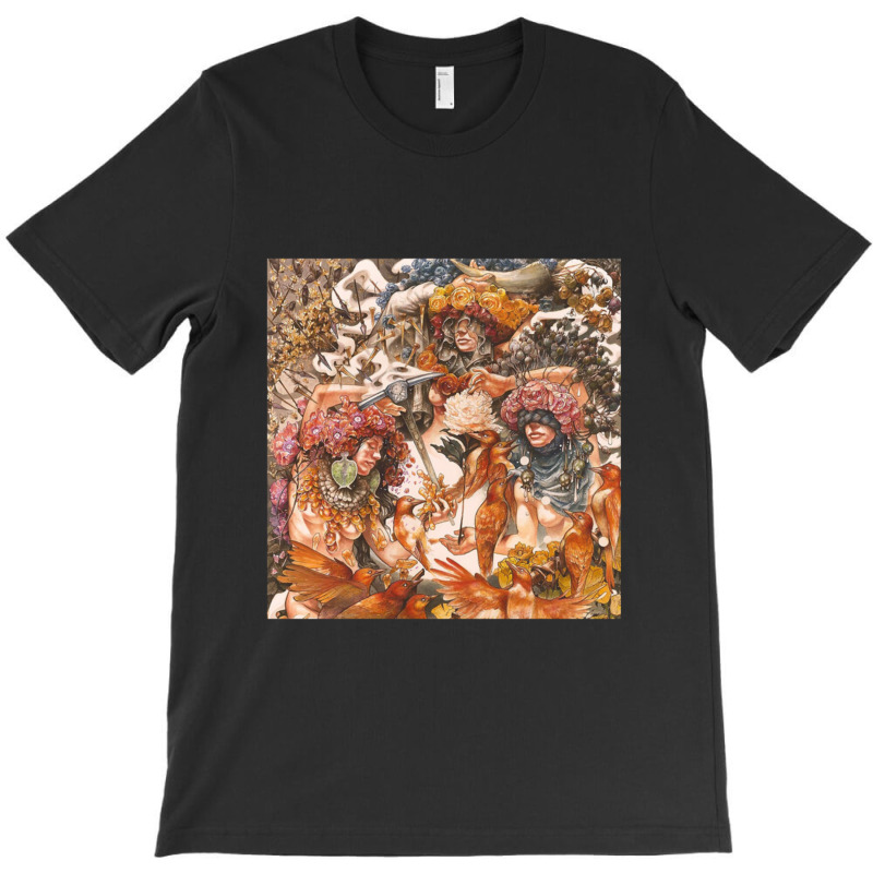 Baroness Gold And Gray Pullover Hoodie T-shirt | Artistshot