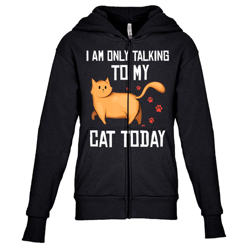 Introvert Cat Lover I Am Only Talking To My Cat Today Youth Zipper Hoodie | Artistshot